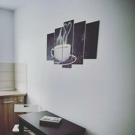 Sascha Apartament Brasov